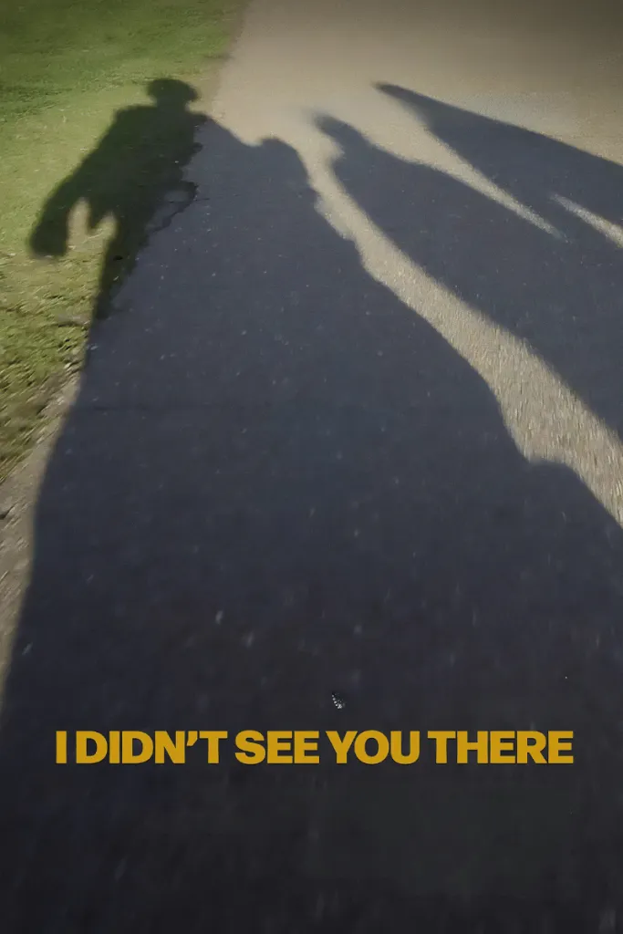 I Didn't See You There