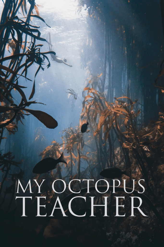 One Read: My Octopus Teacher
